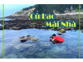 tour-du-lich-cu-lao-mai-nha-phu-yen-1-ngay-small-1