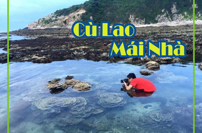 tour-du-lich-cu-lao-mai-nha-phu-yen-1-ngay-big-1