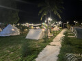 coconut-trees-campsite-phu-yen-small-1