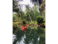 coconut-trees-campsite-phu-yen-small-6