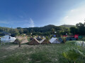 coconut-trees-campsite-phu-yen-small-0