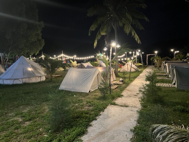 coconut-trees-campsite-phu-yen-big-1