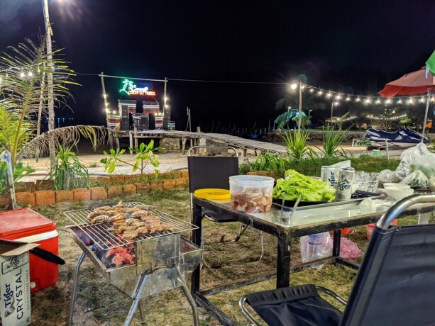 coconut-trees-campsite-phu-yen-big-2