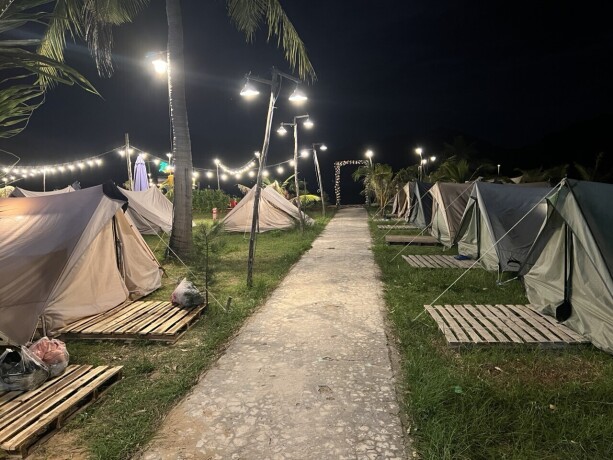 coconut-trees-campsite-phu-yen-big-4